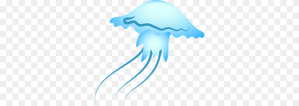 Jellyfish Animal, Sea Life, Invertebrate Png Image