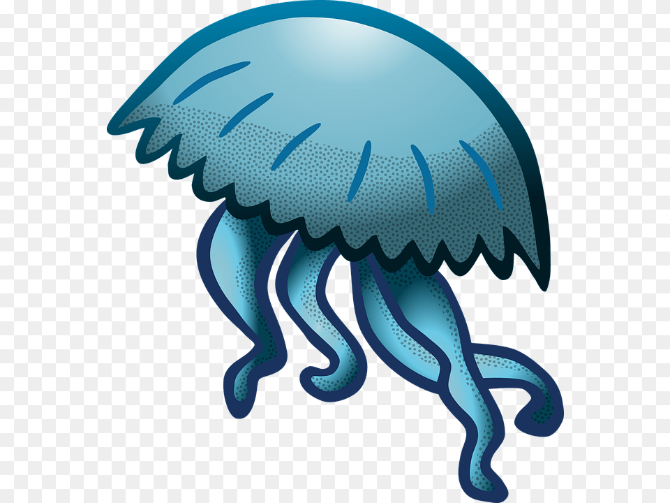 Jellyfish, Animal, Invertebrate, Sea Life Free Png