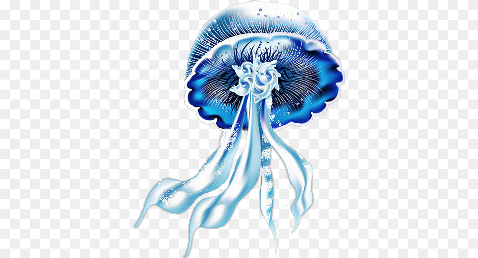 Jellyfish, Animal, Sea Life, Invertebrate Png