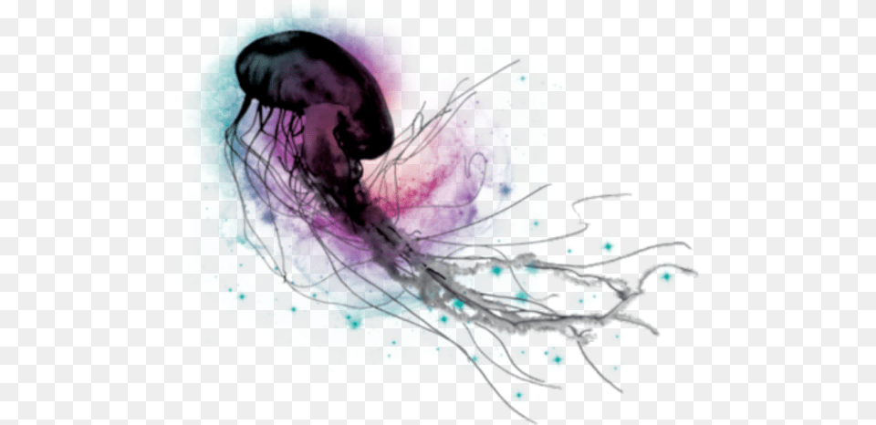 Jellyfish, Animal, Sea Life, Invertebrate, Person Free Transparent Png