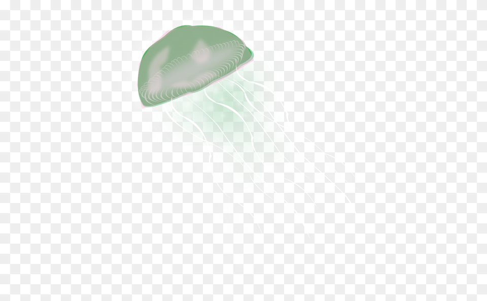 Jellyfish, Animal, Sea Life, Invertebrate Png