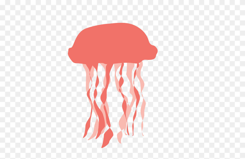 Jellyfish, Animal, Invertebrate, Sea Life, Lion Png Image