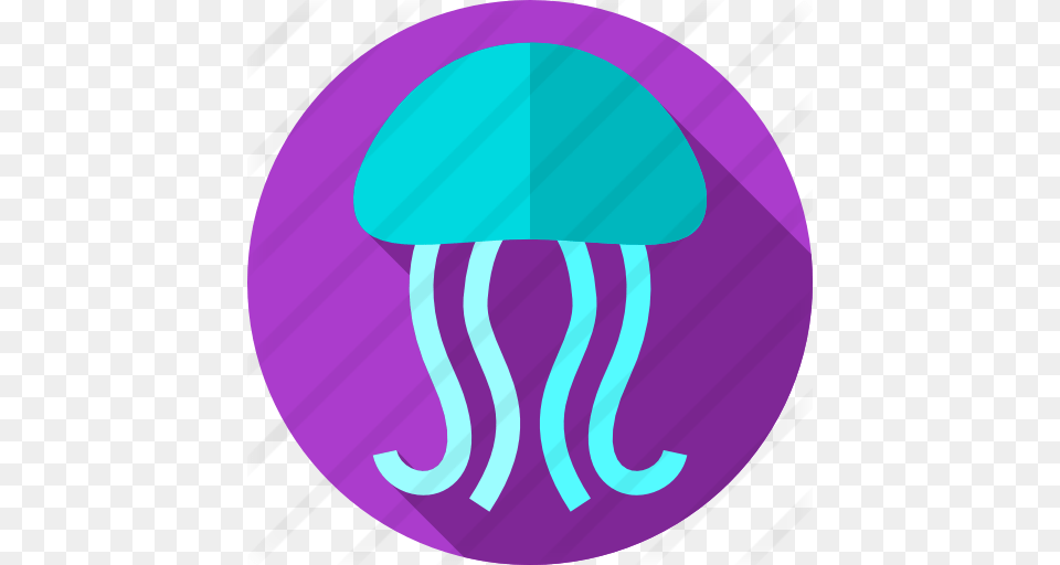 Jellyfish, Animal, Sea Life, Invertebrate, Disk Free Transparent Png