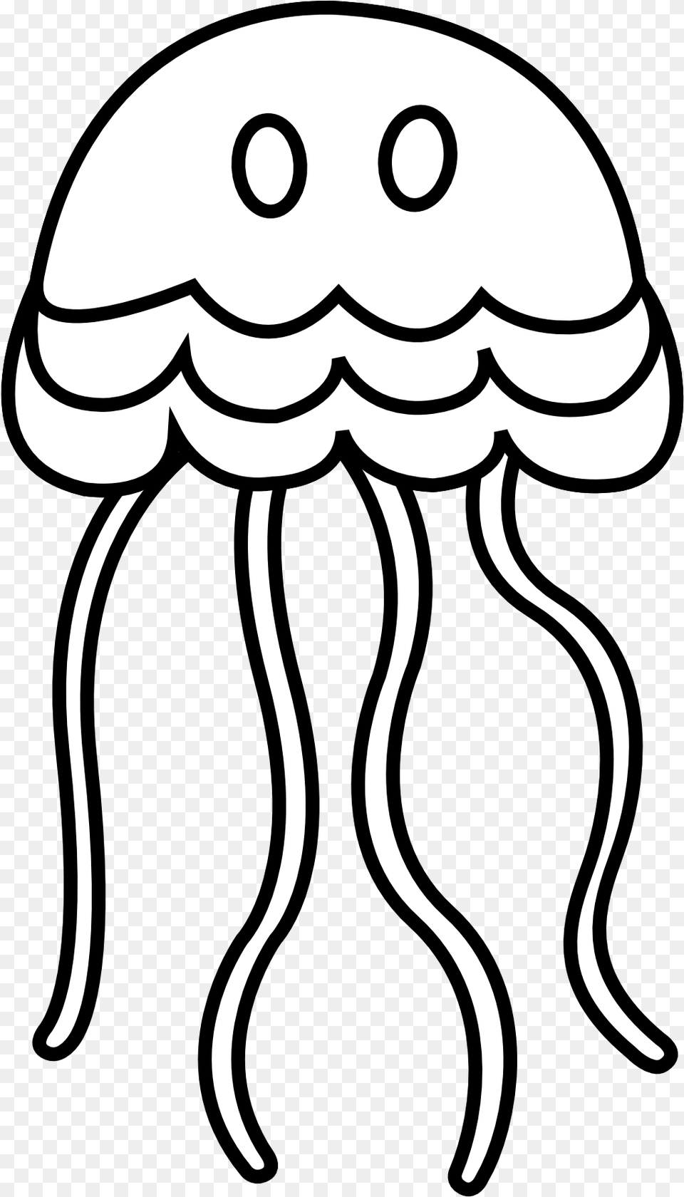 Jellyfish, Animal, Sea Life, Invertebrate, Person Free Transparent Png