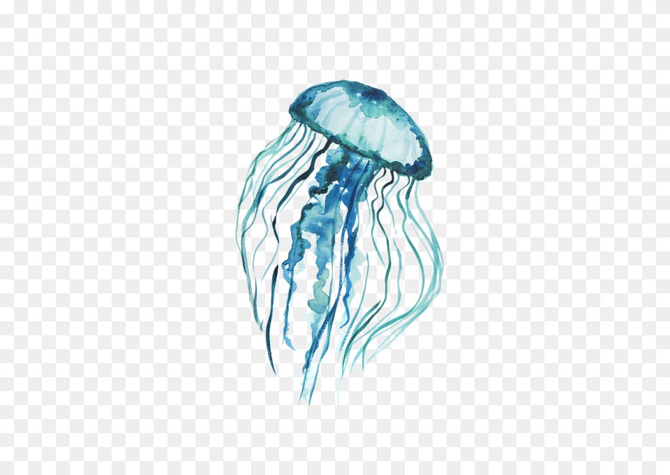 Jellyfish, Animal, Invertebrate, Sea Life, Person Free Png