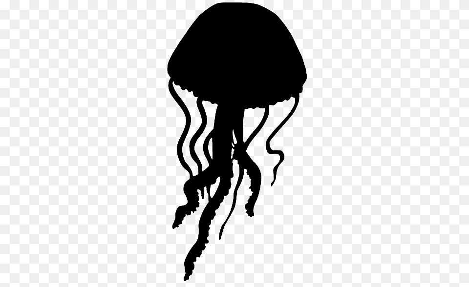 Jellyfish, Silhouette, Adult, Animal, Female Png