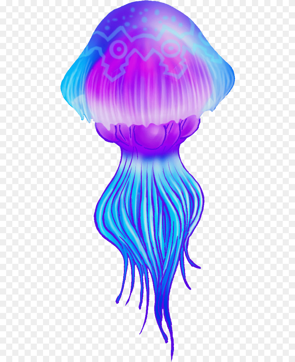 Jellyfish, Animal, Invertebrate, Sea Life, Person Png