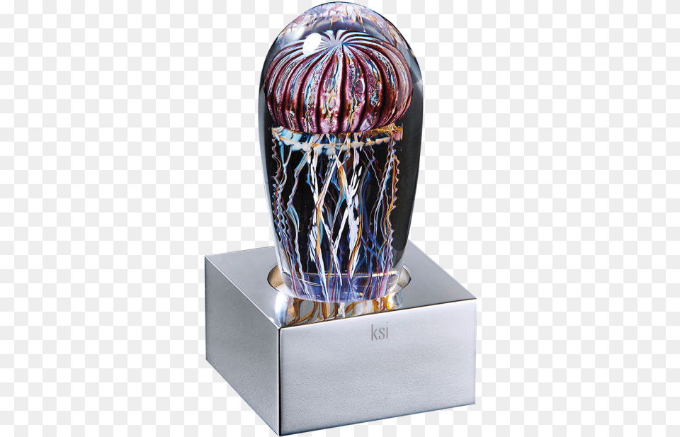 Jellyfish, Jar, Pottery, Urn Free Png