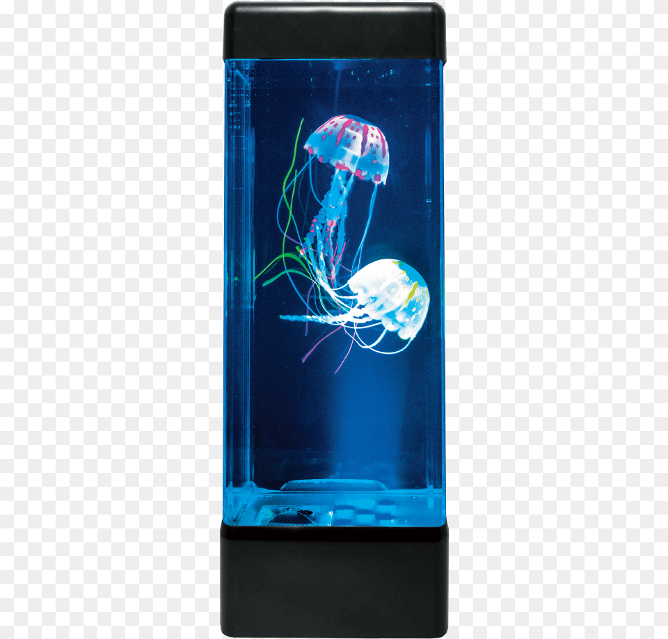 Jellyfish Aquarium, Animal, Sea Life, Fish, Water Free Transparent Png
