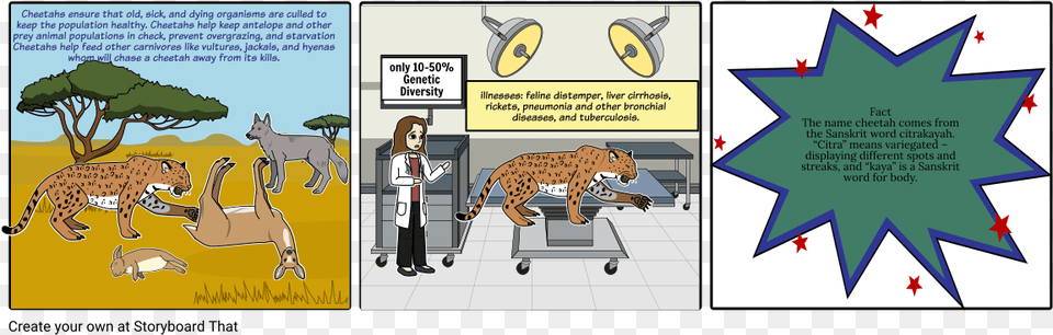 Jellyfish Cartoon, Book, Comics, Publication, Person Png