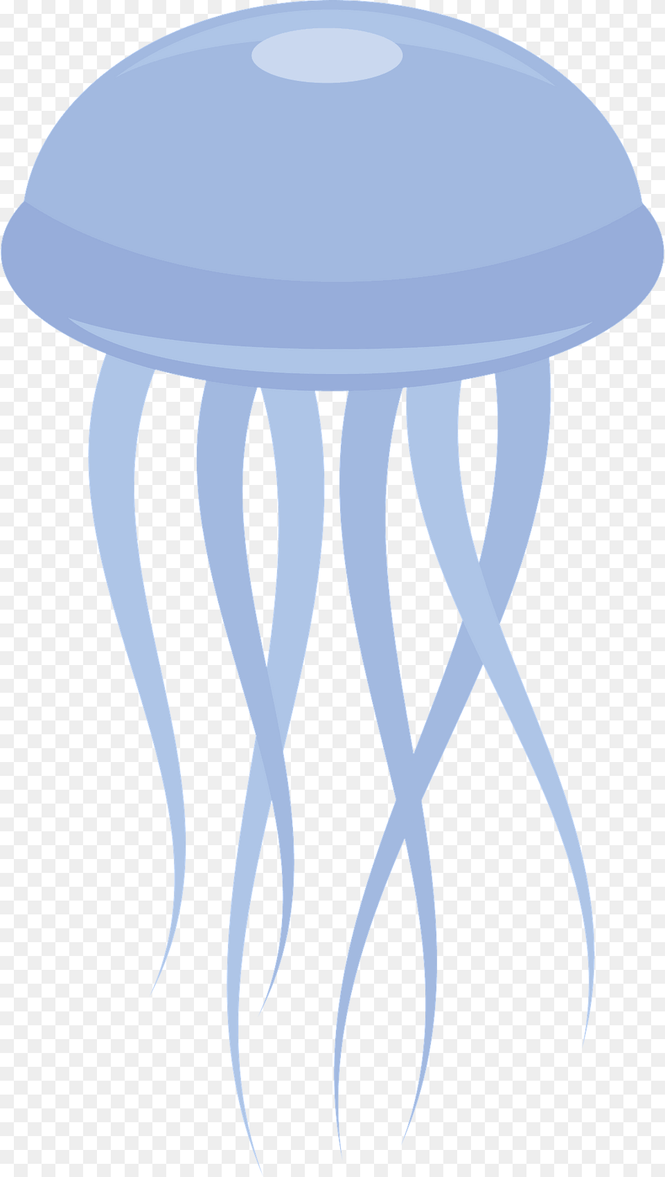 Jellyfish Clipart, Animal, Sea Life, Invertebrate, Person Free Png Download
