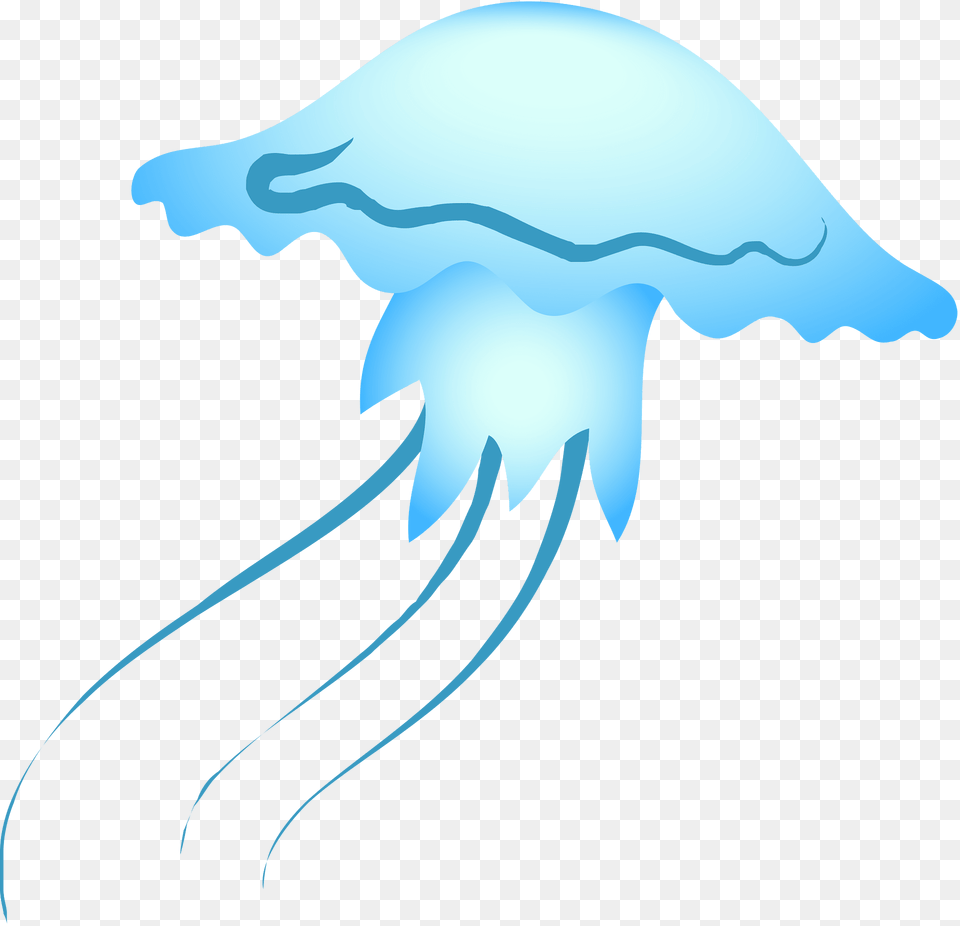 Jellyfish Clipart, Animal, Sea Life, Invertebrate, Fish Free Transparent Png