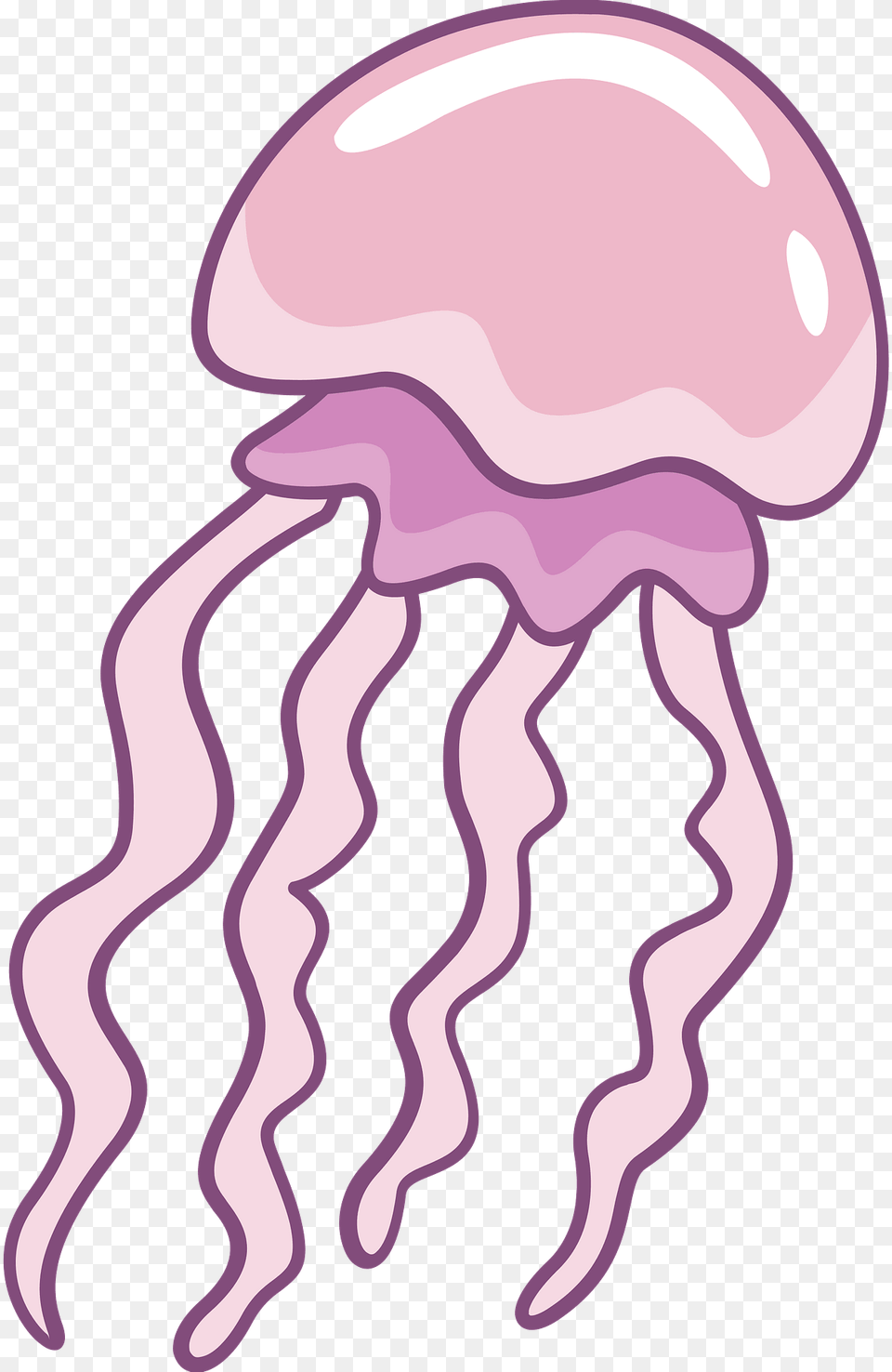 Jellyfish Clipart, Animal, Invertebrate, Sea Life, Baby Png