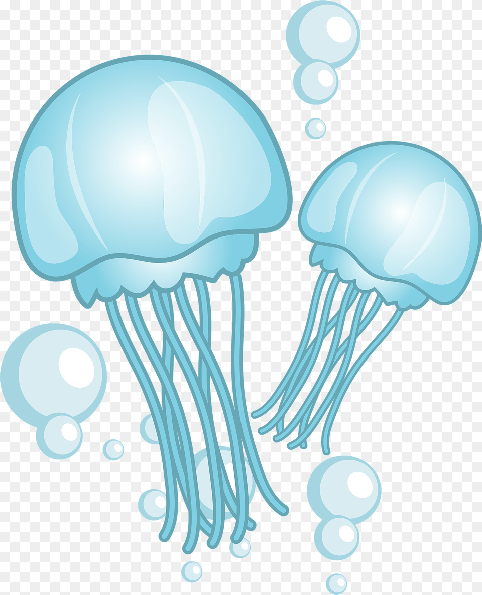 Jellyfish Clipart, Animal, Sea Life, Invertebrate Free Png