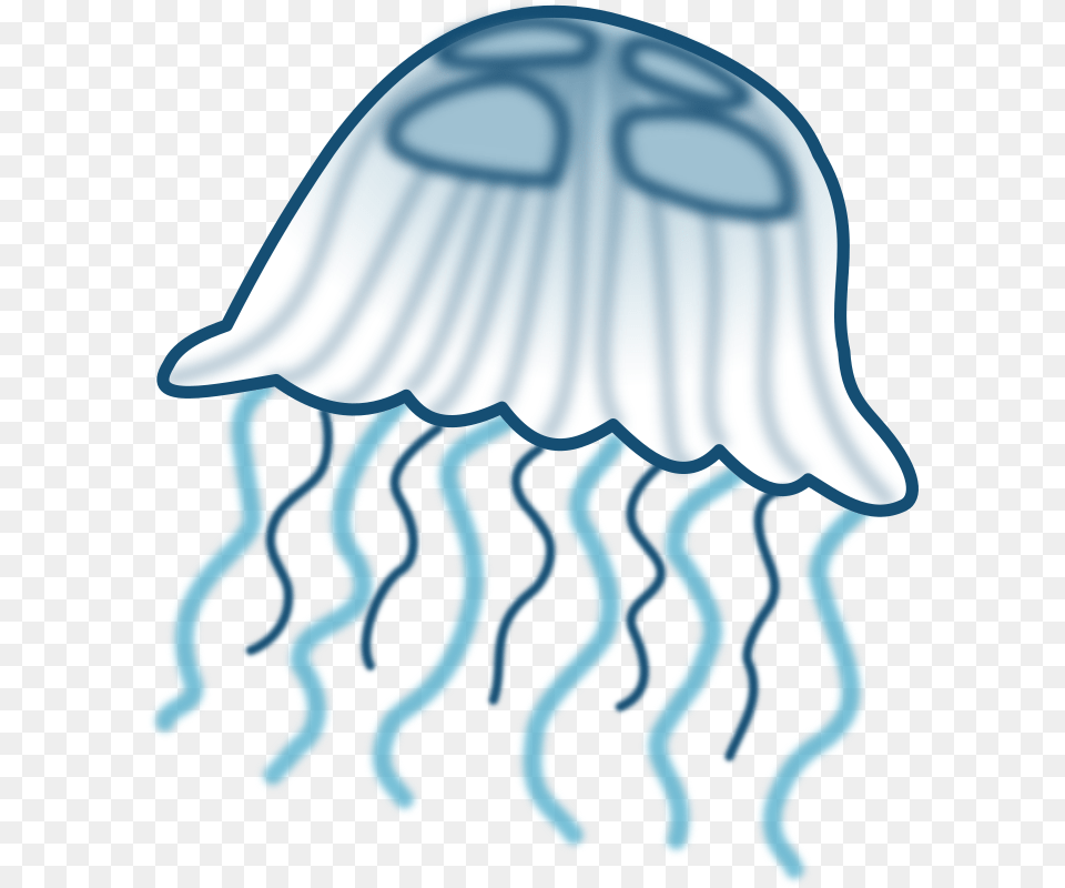 Jellyfish Clipart, Animal, Sea Life, Invertebrate Free Transparent Png