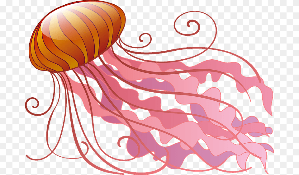 Jellyfish Clipart, Animal, Sea Life, Invertebrate, Person Free Transparent Png