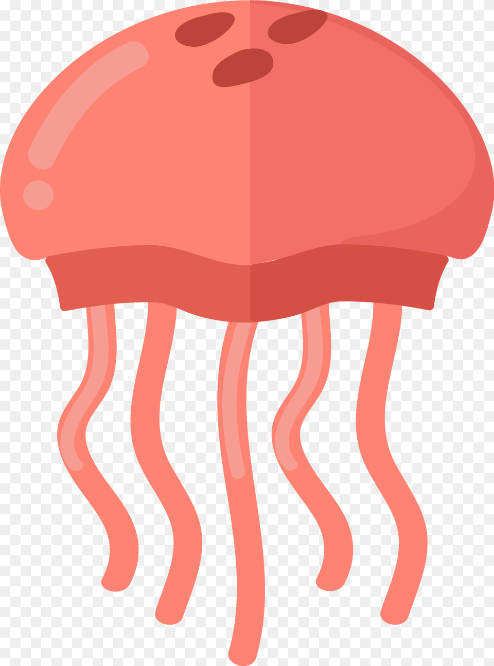 Jellyfish Clipart, Animal, Sea Life, Invertebrate Png Image