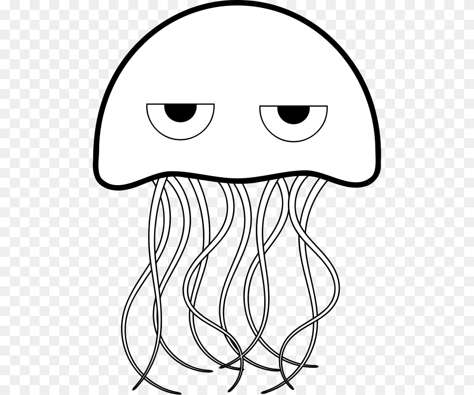 Jellyfish Clipart, Animal, Sea Life, Invertebrate Free Png Download