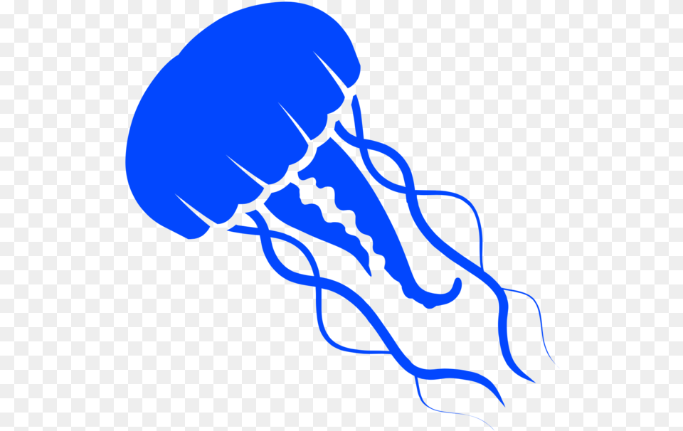 Jellyfish Clipart Download, Animal, Invertebrate, Sea Life Free Png