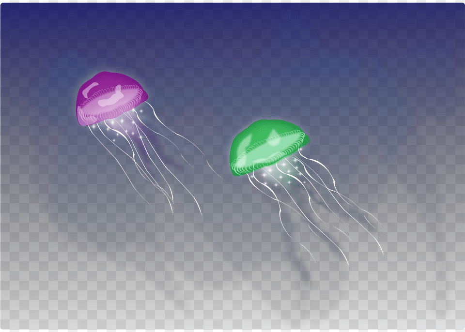 Jellyfish Animal, Invertebrate, Sea Life, Person Free Png Download