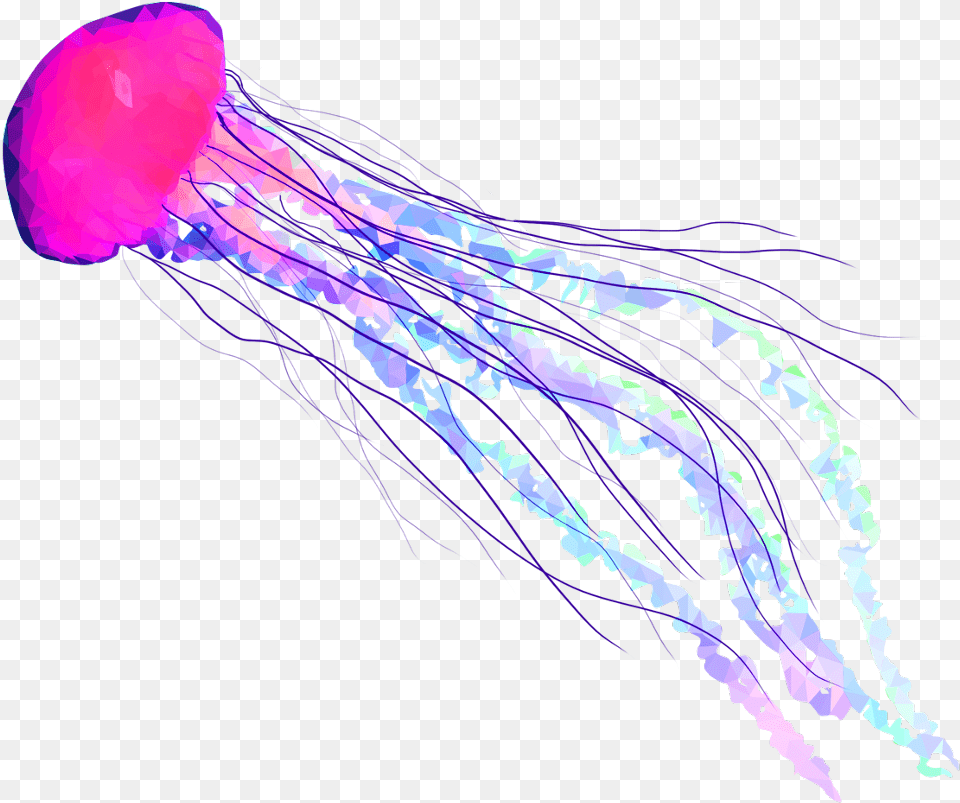 Jellyfish Fish Seas Underwater Freetoedit Jelly Fish Transparent Background, Animal, Invertebrate, Sea Life Png Image