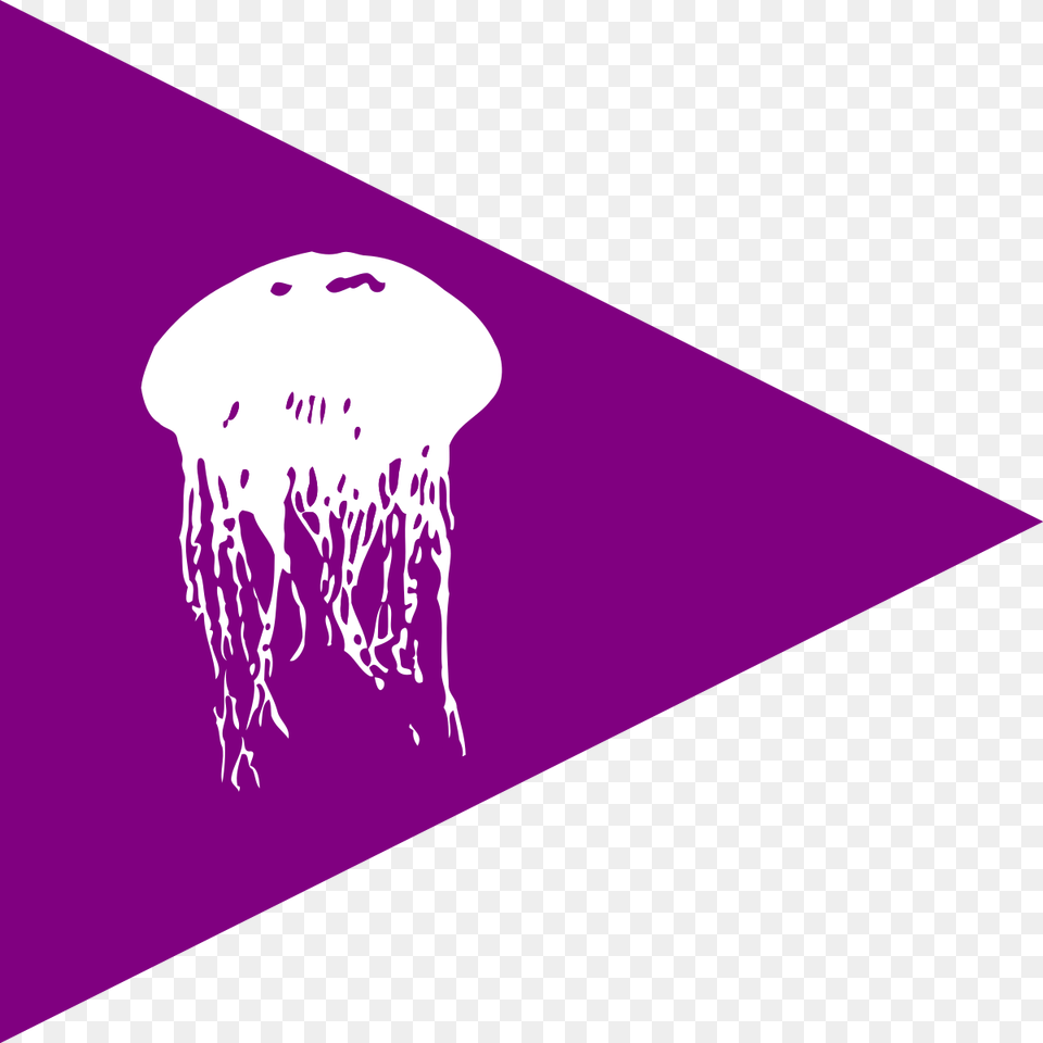 Jellyfish Flag, Animal, Sea Life, Invertebrate Png