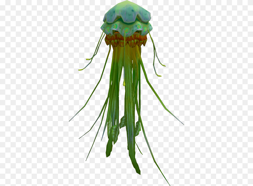Jellyfish Green Jellyfish, Animal, Sea Life, Invertebrate, Fish Png Image