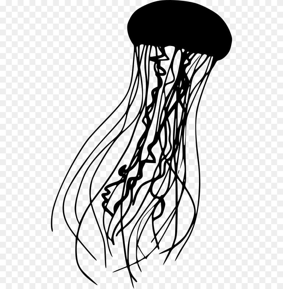 Jellyfish Jellyfish Icon, Animal, Sea Life, Invertebrate, Smoke Pipe Png