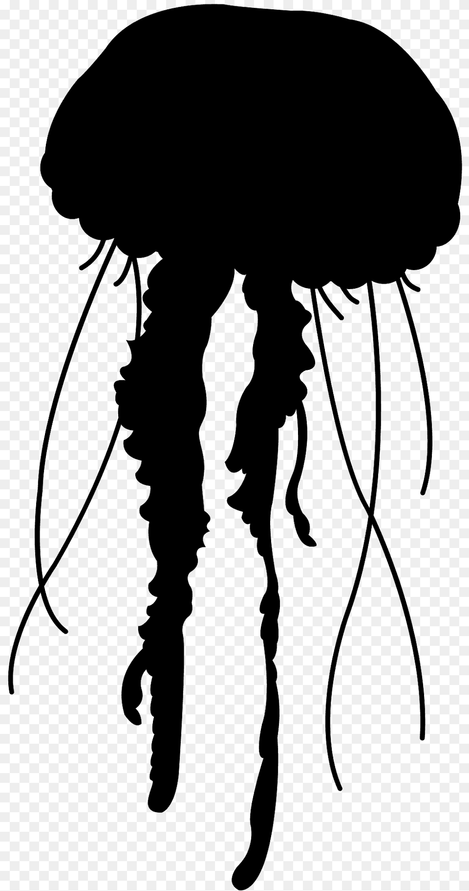 Jellyfish Silhouette, Animal, Person, Sea Life, Invertebrate Png Image