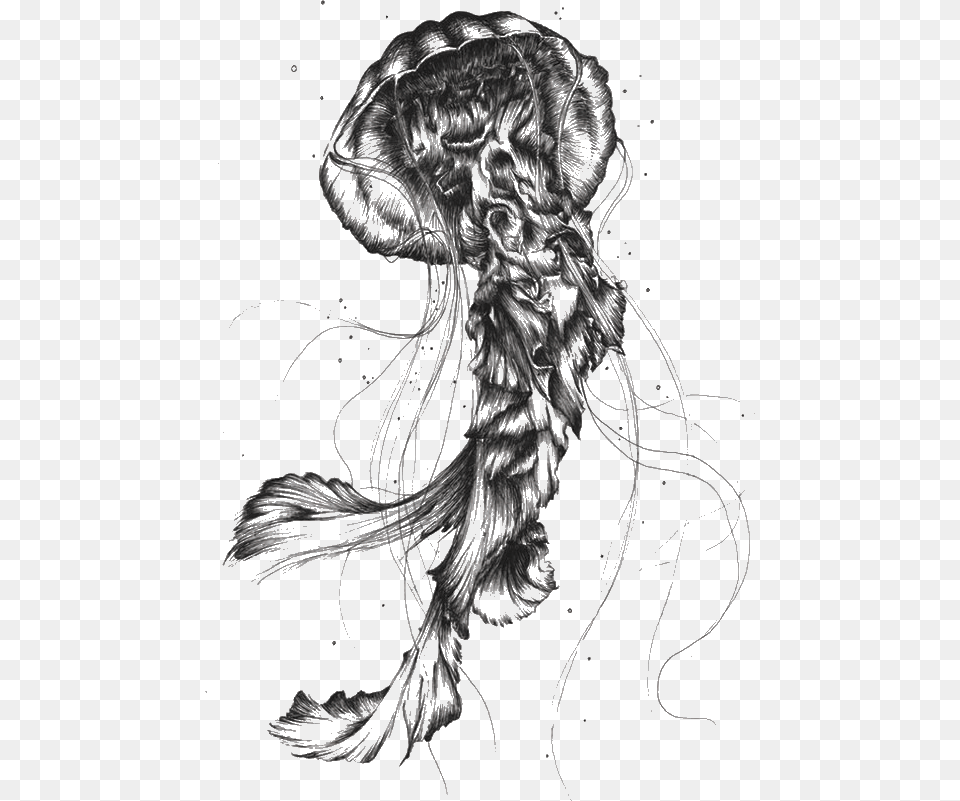 Jellyfish Sketch, Art, Drawing, Adult, Female Png