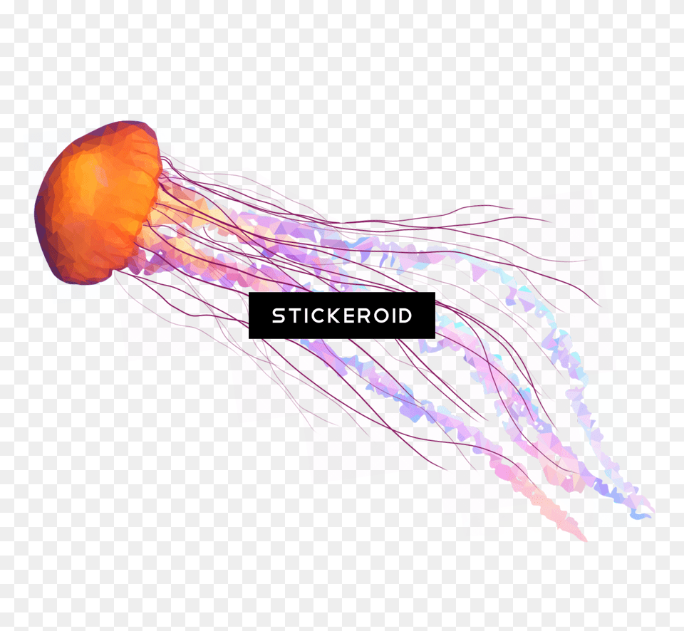 Jellyfish Tentacles Illustration, Animal, Sea Life, Invertebrate, Adult Png Image