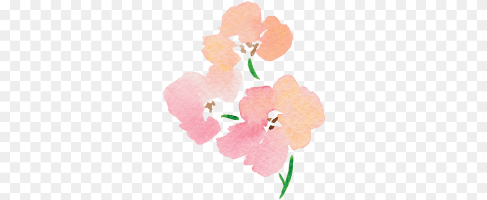 Jenna Rainey Floral, Flower, Petal, Plant, Anther Free Png