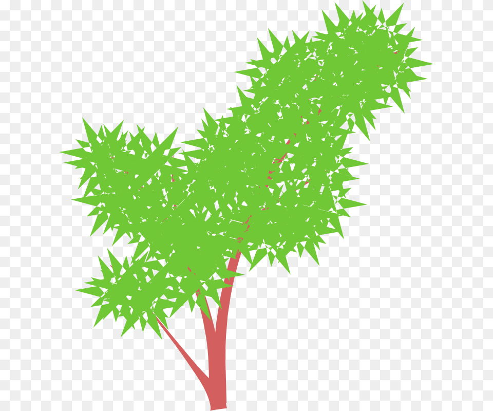 Jenny Arder Tree, Grass, Green, Leaf, Plant Free Transparent Png