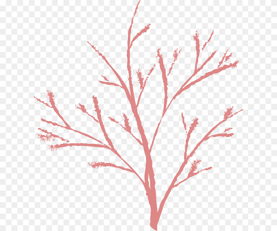 Jenny Arder Tree, Art, Pattern, Outdoors, Nature Png Image