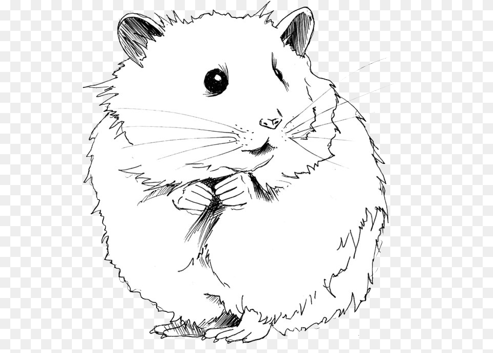 Jerbo Dibujo H Mster Hamster Black And White Clipart, Art, Animal, Mammal, Rodent Free Transparent Png