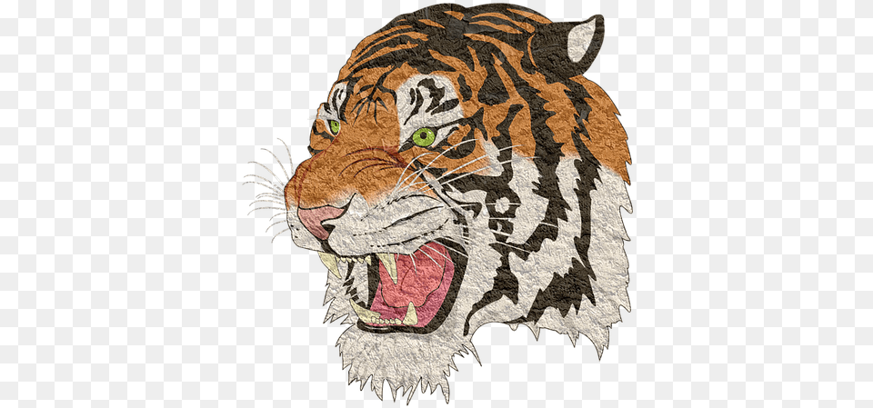 Jerome High School Tiger, Animal, Mammal, Wildlife, Art Png Image