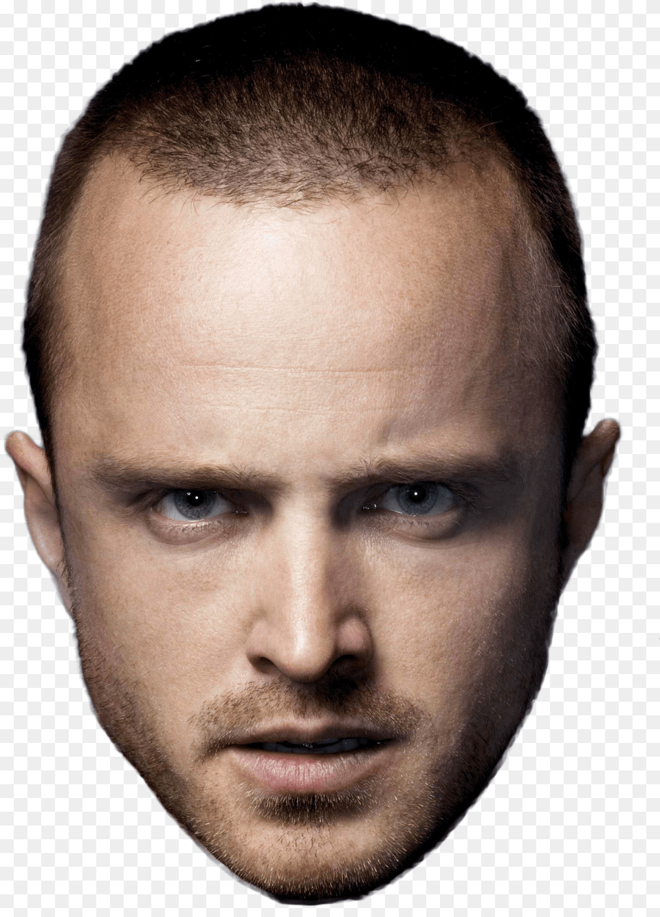 Jesse Pinkman Jesse Breaking Bad Bitch Meme Free Png Download