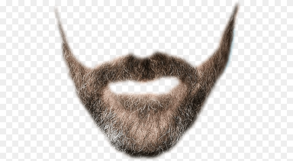 Jesus Beard Realistic Mustache Transparent Background, Face, Head, Person, Animal Png Image