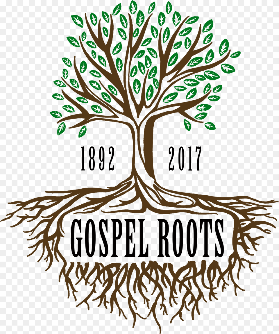 Jesus Christ And Him Crucified Tree With Writing In Roots, Plant, Root, Potted Plant Free Transparent Png