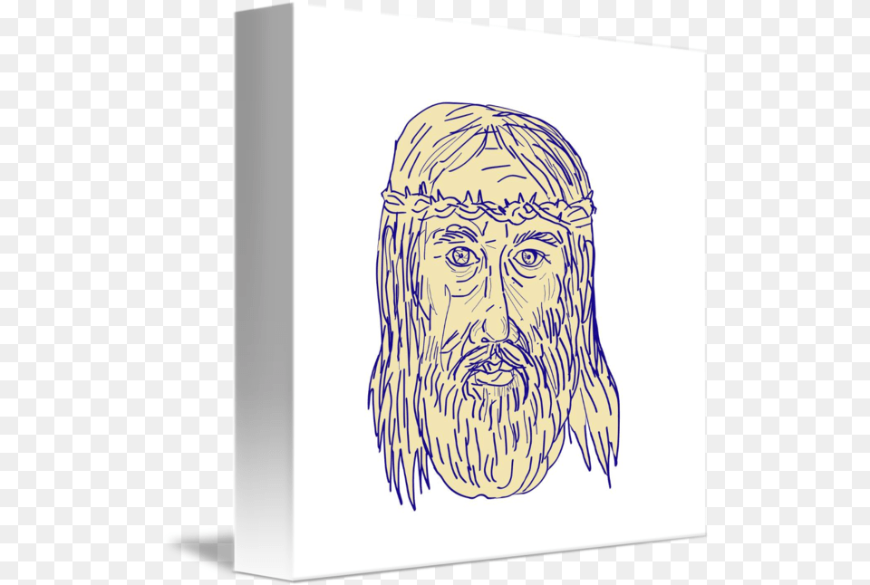 Jesus Face Crown Of Thorns Drawing By Aloysius Patrimonio Sketch, Art, Adult, Male, Man Png