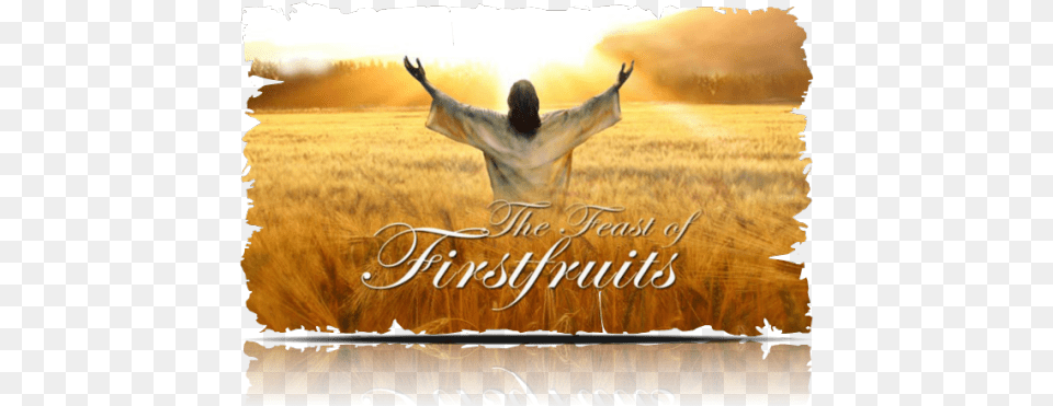 Jesus Feast Of Firstfruit Feast Of First Fruits, Adult, Female, Person, Woman Png