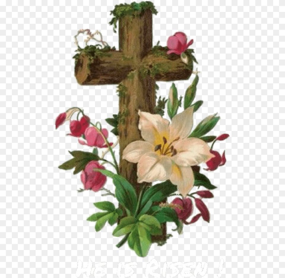 Jesus Has Risen Easter Jesus Flowers Of Jesus Cross, Symbol, Plant, Flower, Petal Png