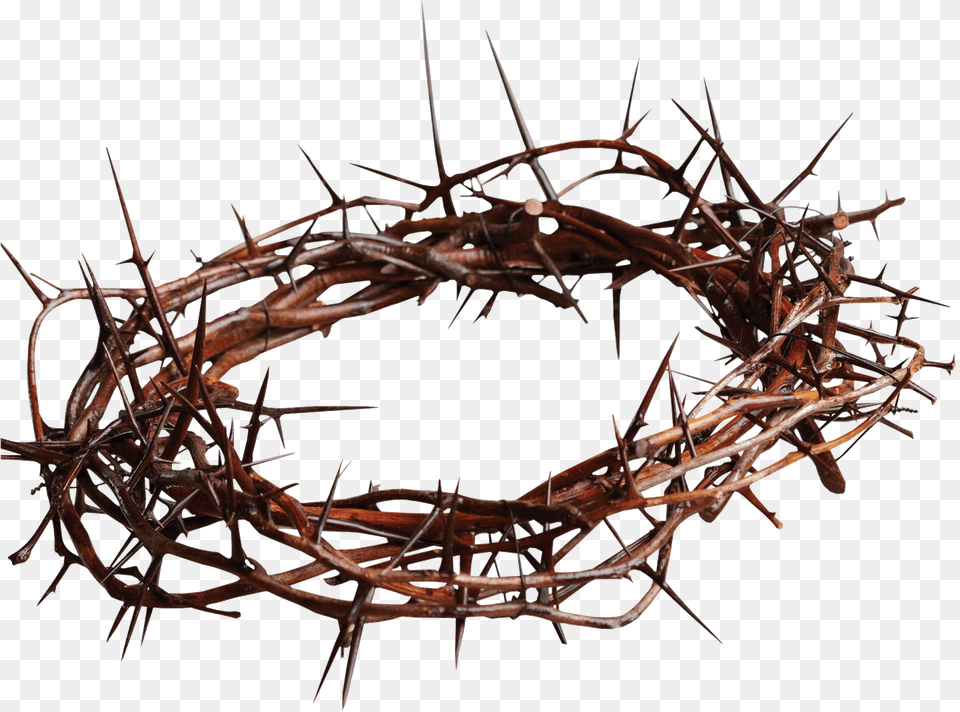 Jesus With Crown Of Thorns Christian Cross Gospel Spines Crown Of Thorns, Accessories, Wire, Wood, Jewelry Png Image