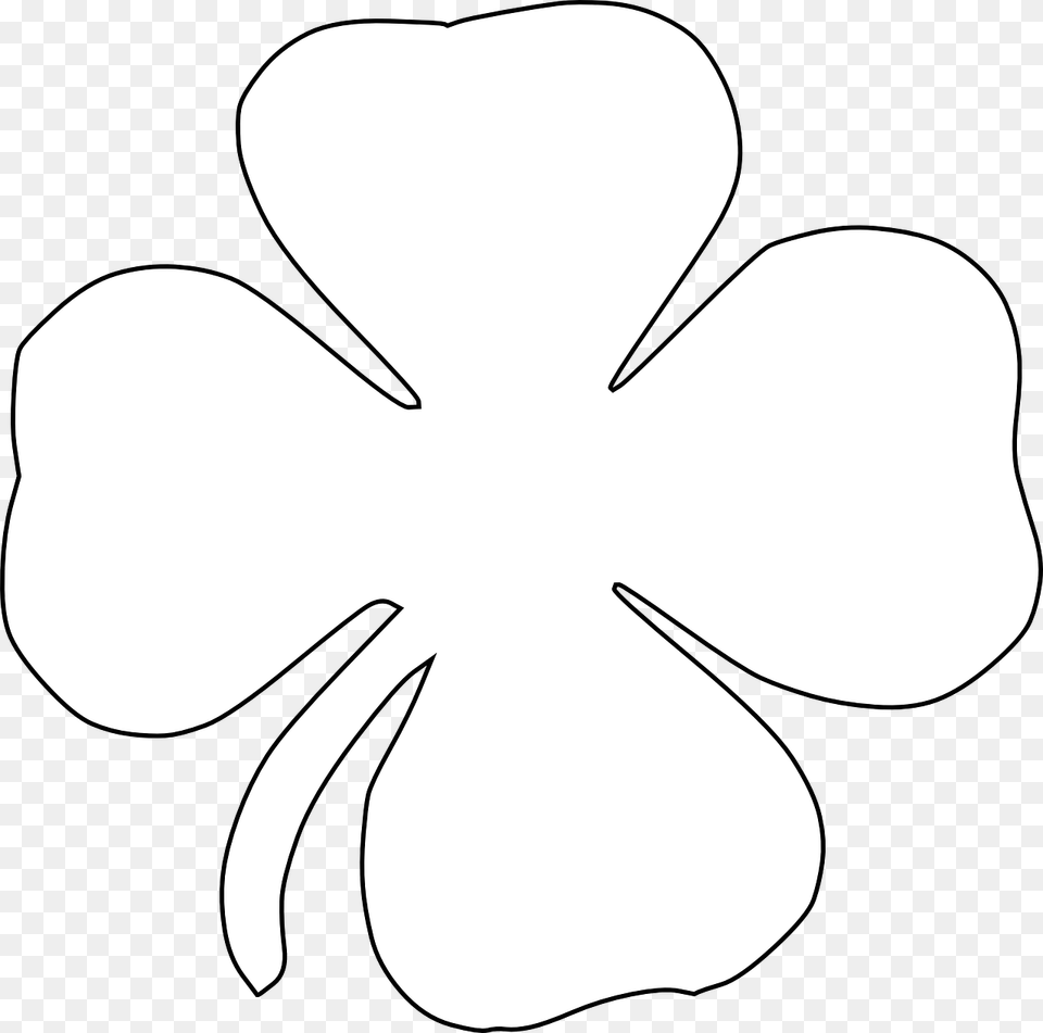 Jetel Tylstek Tst Shamrock Trefoil Rostlin Shamrock Outline Vector, Flower, Plant Free Png