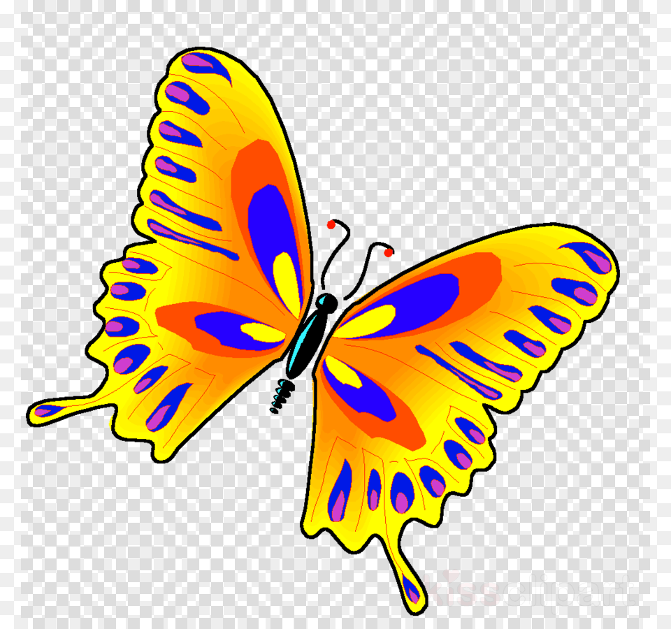 Jewish Butterfly Clipart Butterfly Borboleta Insect Butterfly, Animal, Invertebrate Free Transparent Png