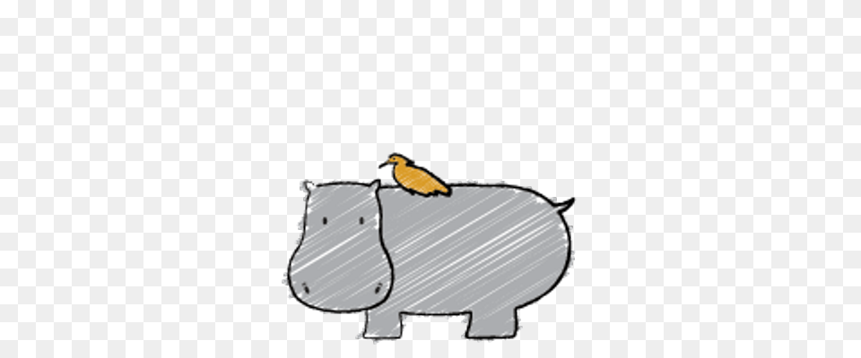 Jewitt Mcluckie Llp On Twitter Whos Here, Animal, Bird, Hippo, Mammal Png Image