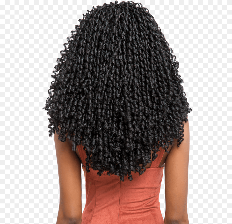 Jheri Curl Lace Wig, Black Hair, Hair, Person, Adult Free Transparent Png