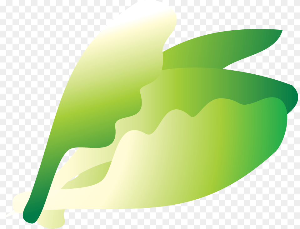 Ji Tap Player, Green, Leaf, Plant, Herbal Png Image