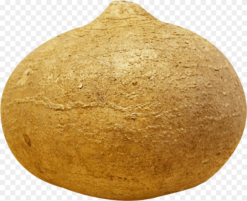 Jicama Image Jicama, Pottery, Astronomy, Moon, Nature Free Png