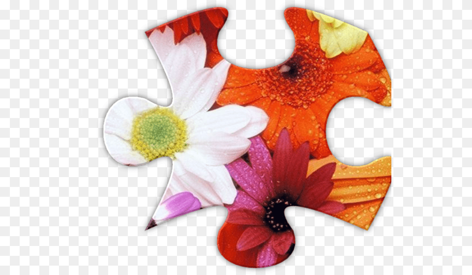 Jigsaws Galore Play 4 Artificial Flower, Petal, Plant, Game Free Png